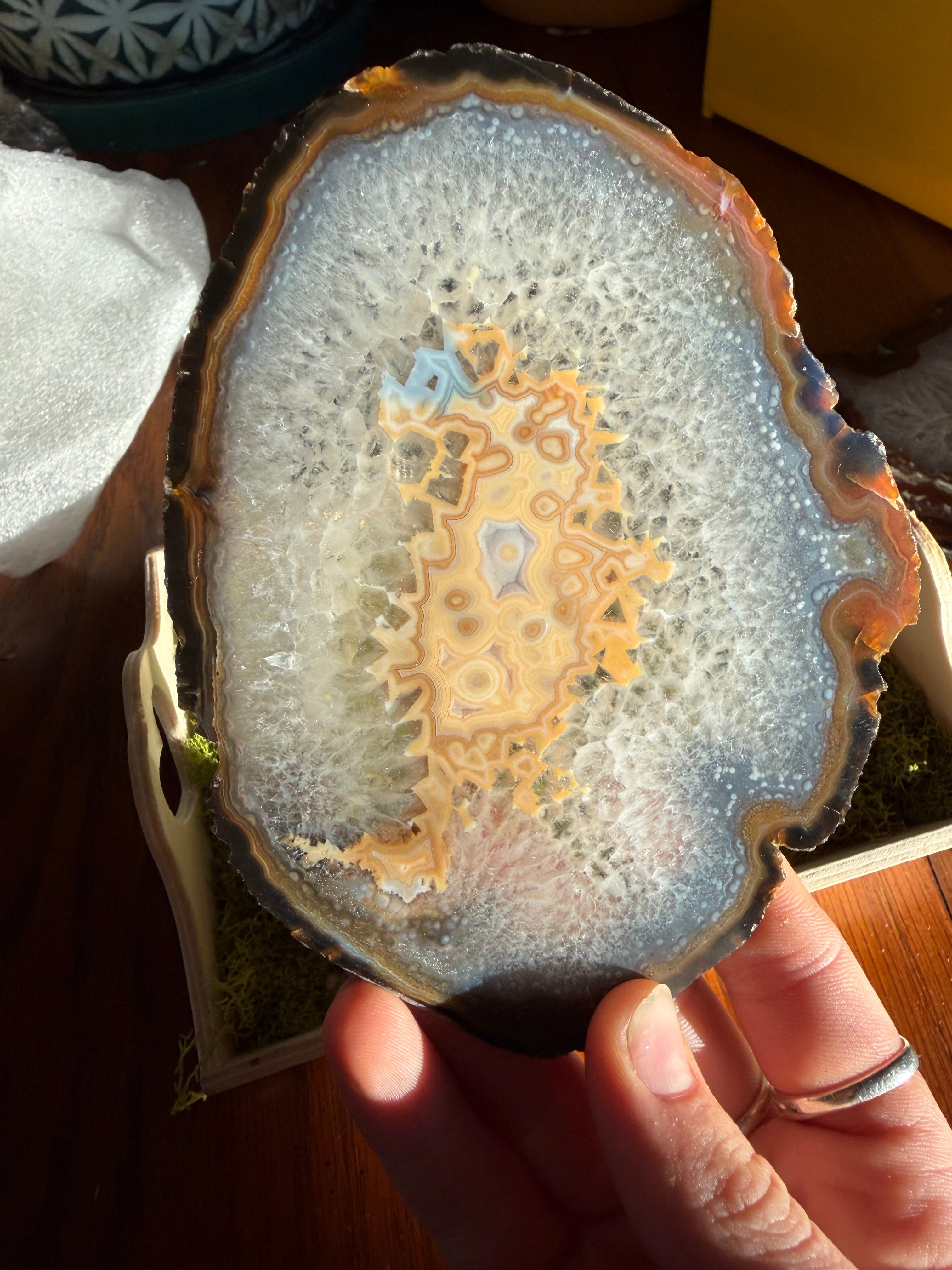 Brazilian Agate Slice