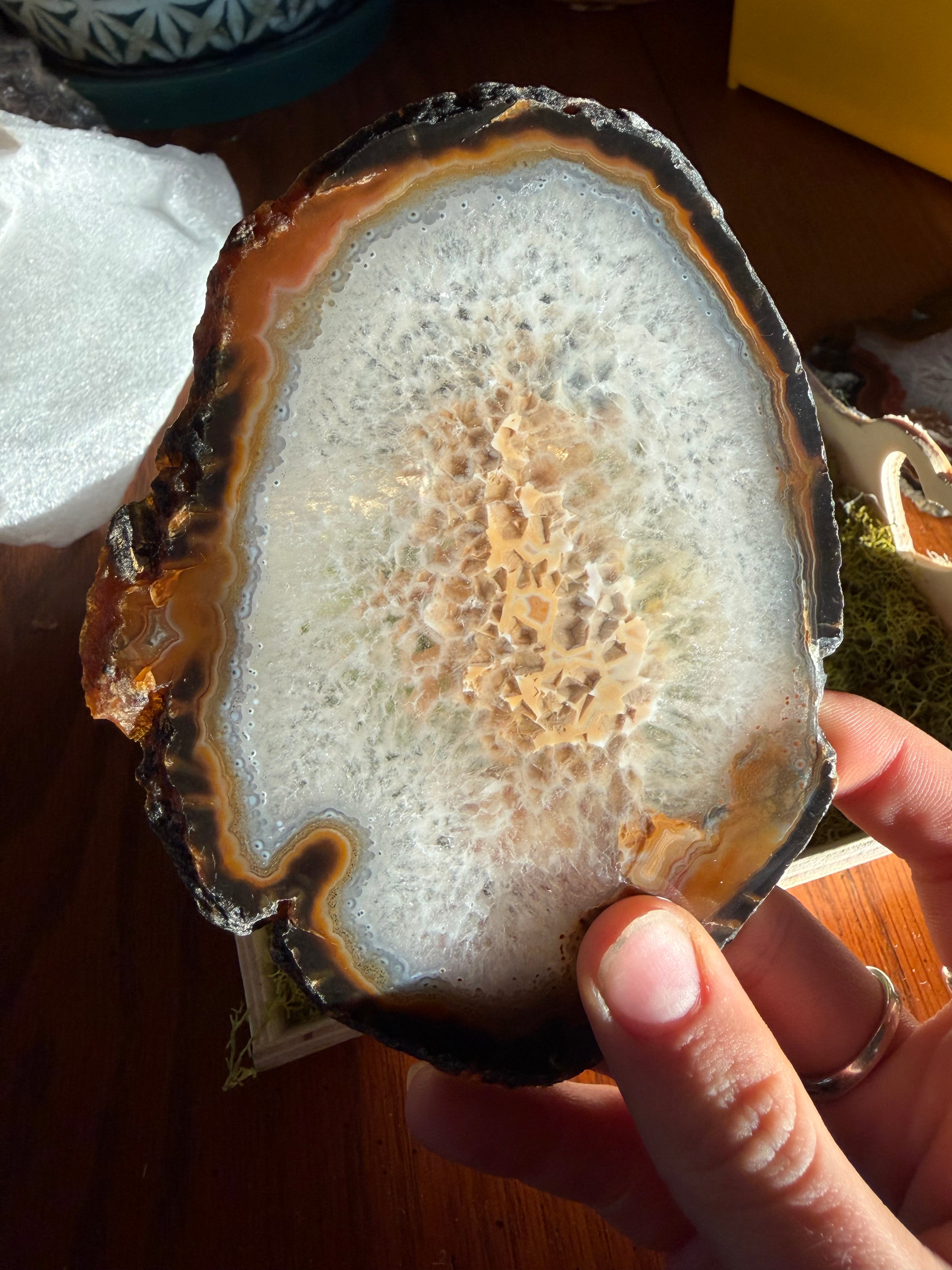 Brazilian Agate Slice