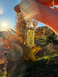 Museum Quality Moldavite, Libyan Desert Glass and Sterling Silver Pendant