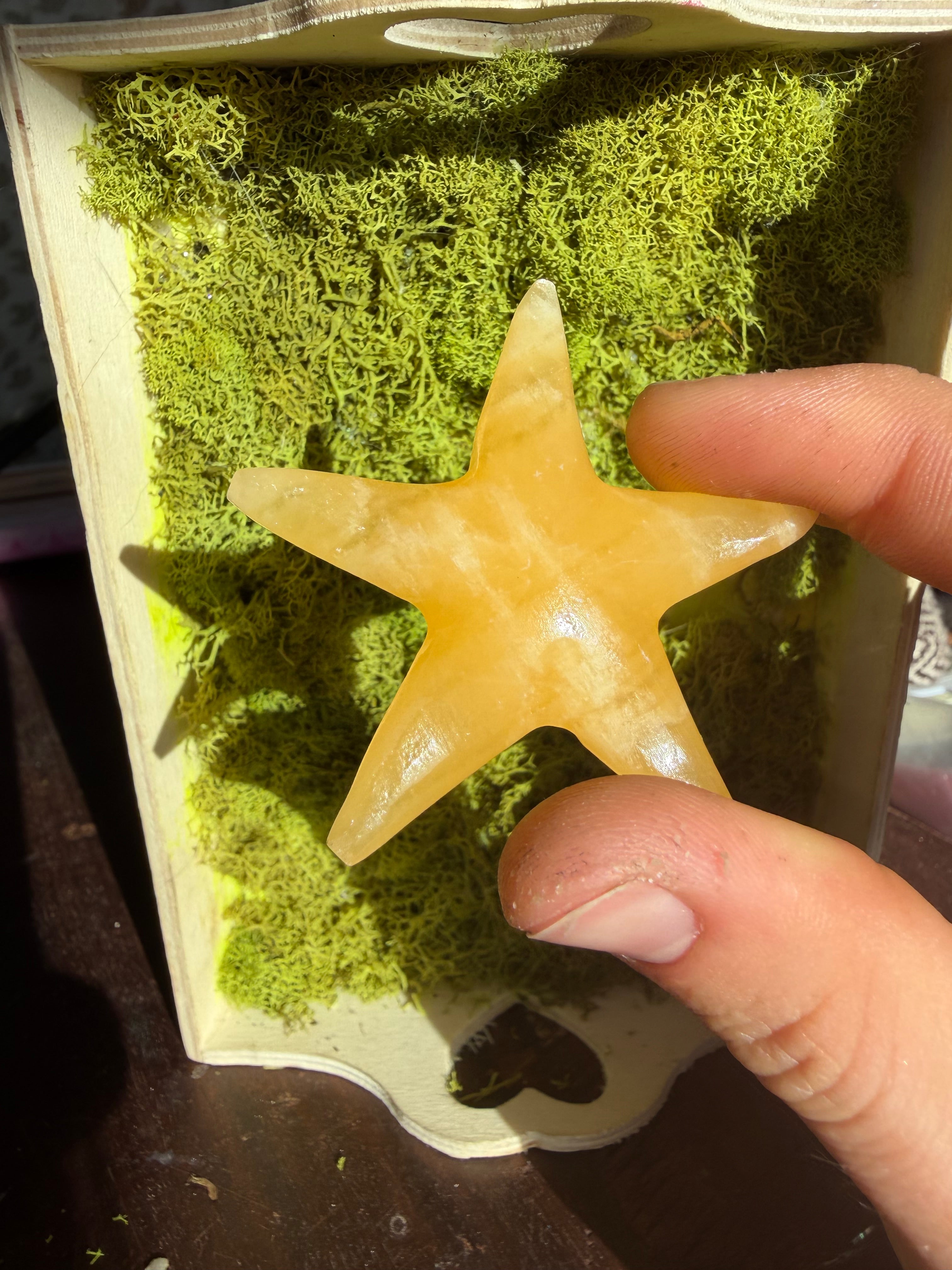 Orange Calcite Starfish Carving