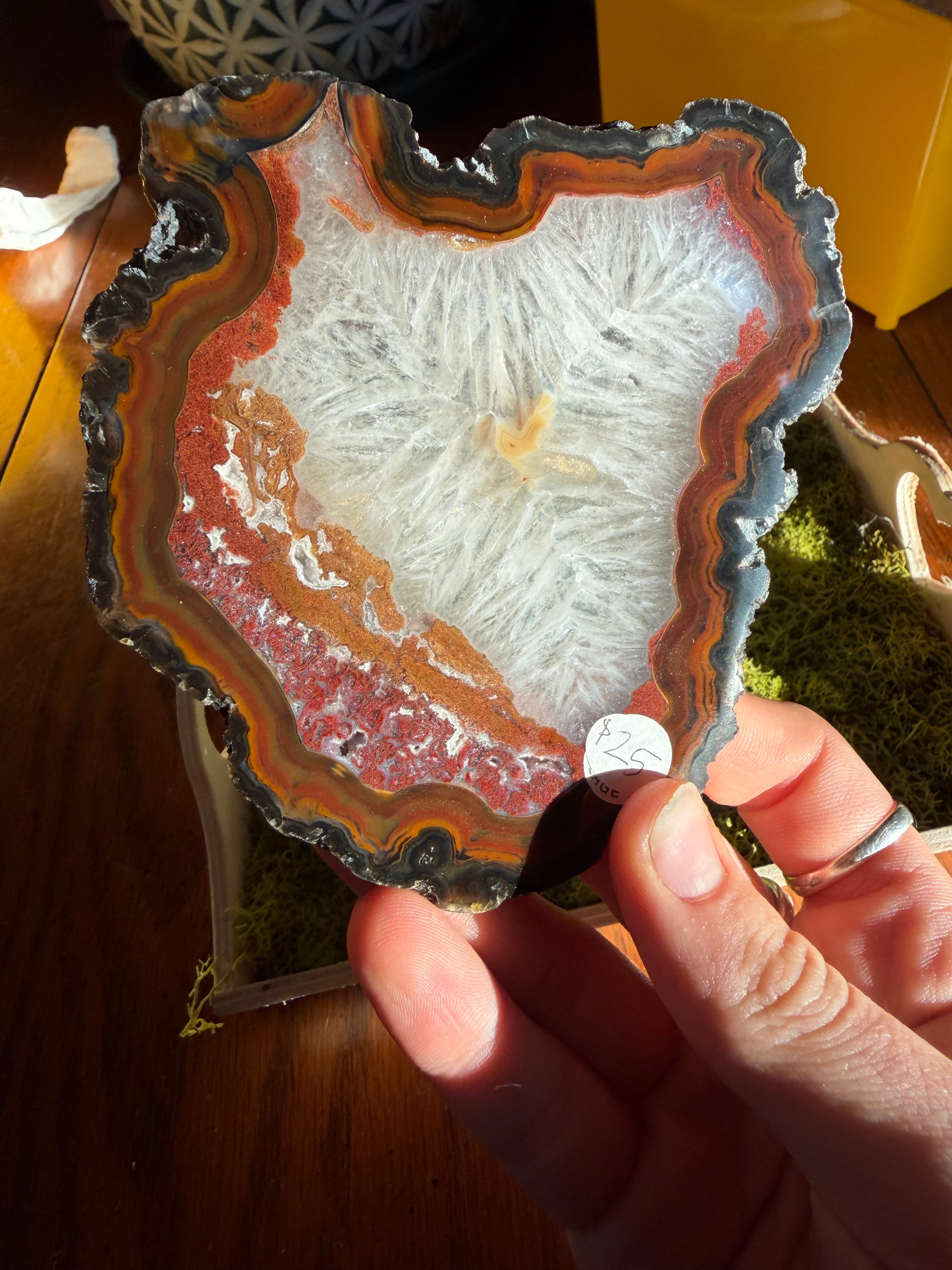 Brazilian Agate Slice
