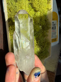 Clear Double Twin Point Lemurian Quartz Crystal