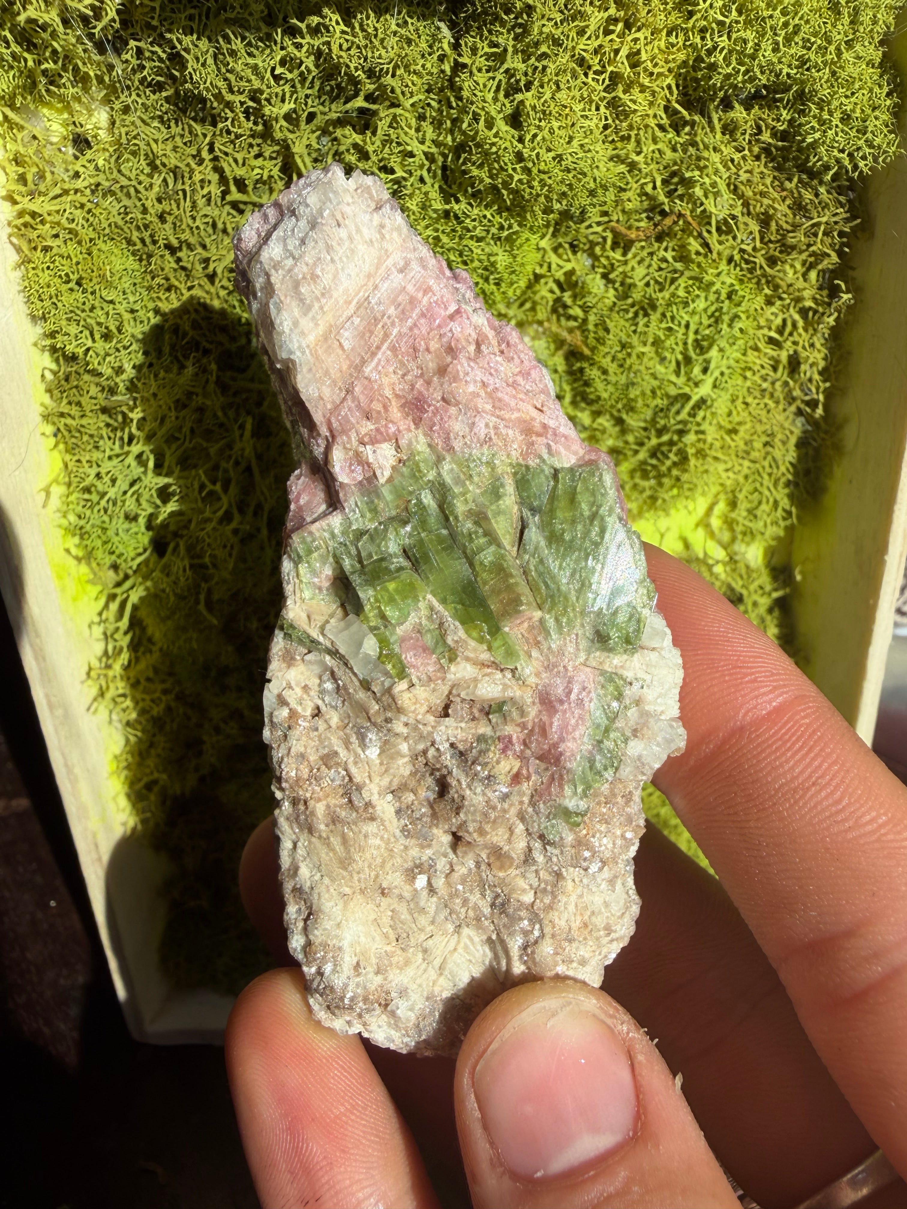 Watermelon Tourmaline from Brazil