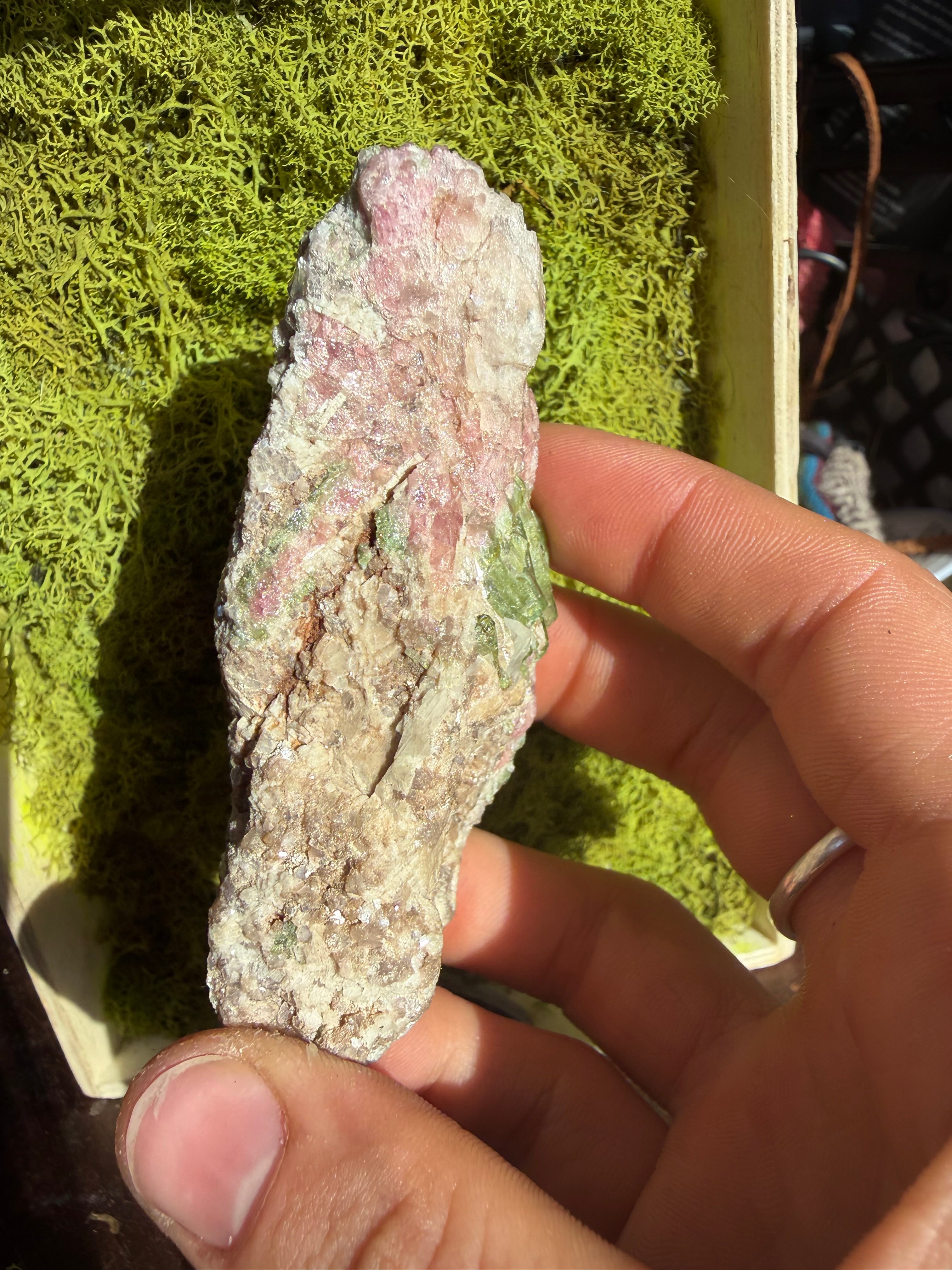 Watermelon Tourmaline from Brazil