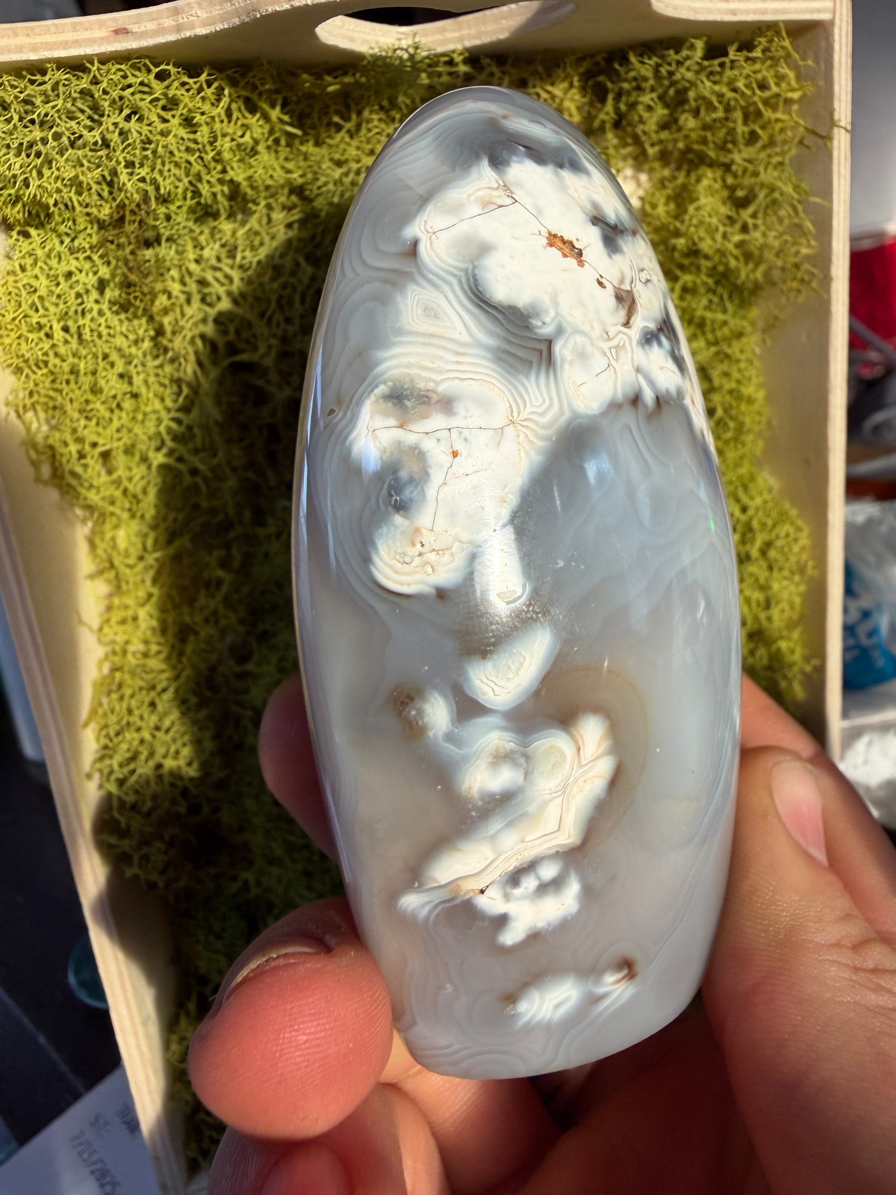Orca Agate Freeform from Madagascar