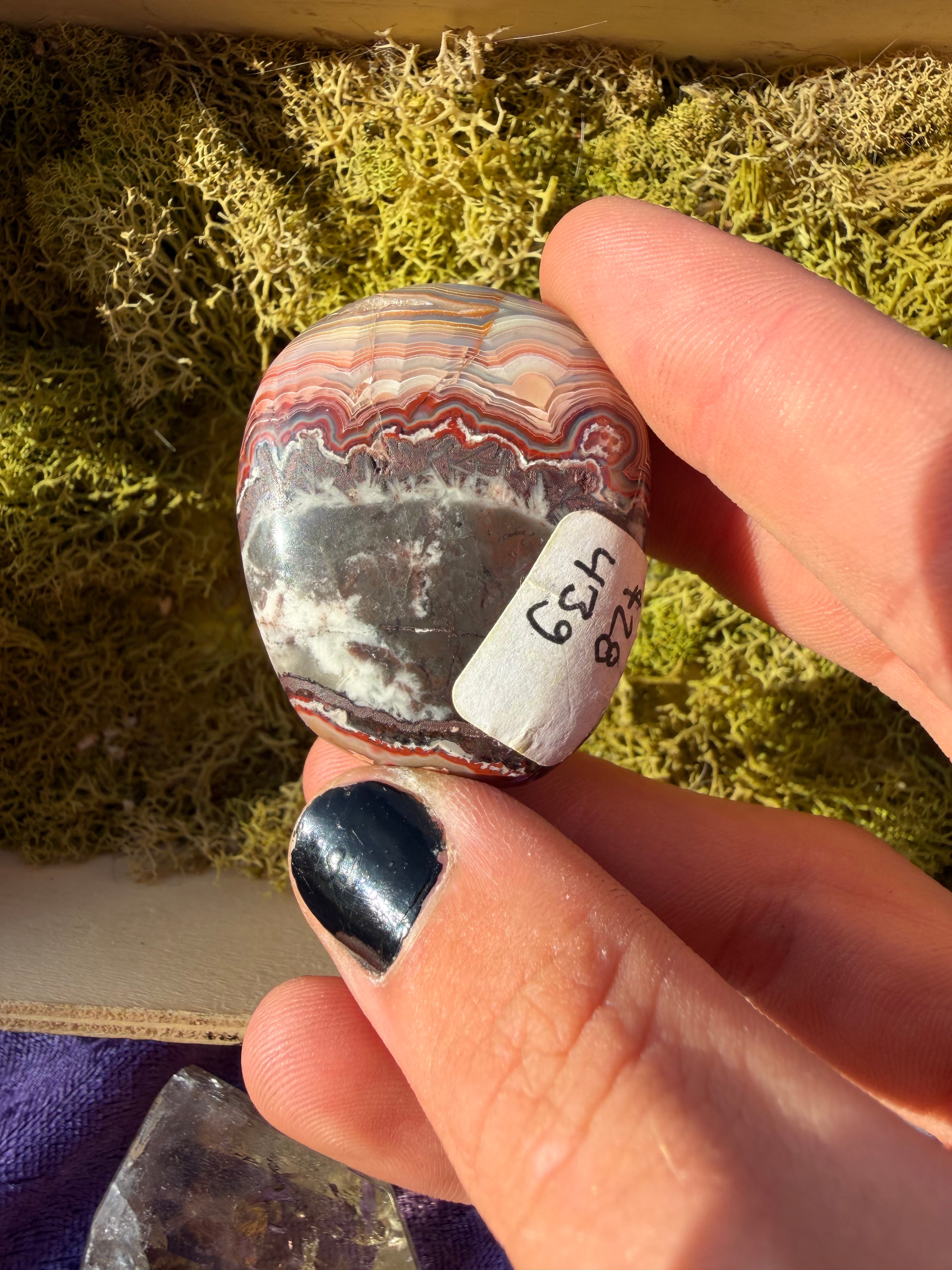 Laguna Agate Mini Palmstone from Mexico