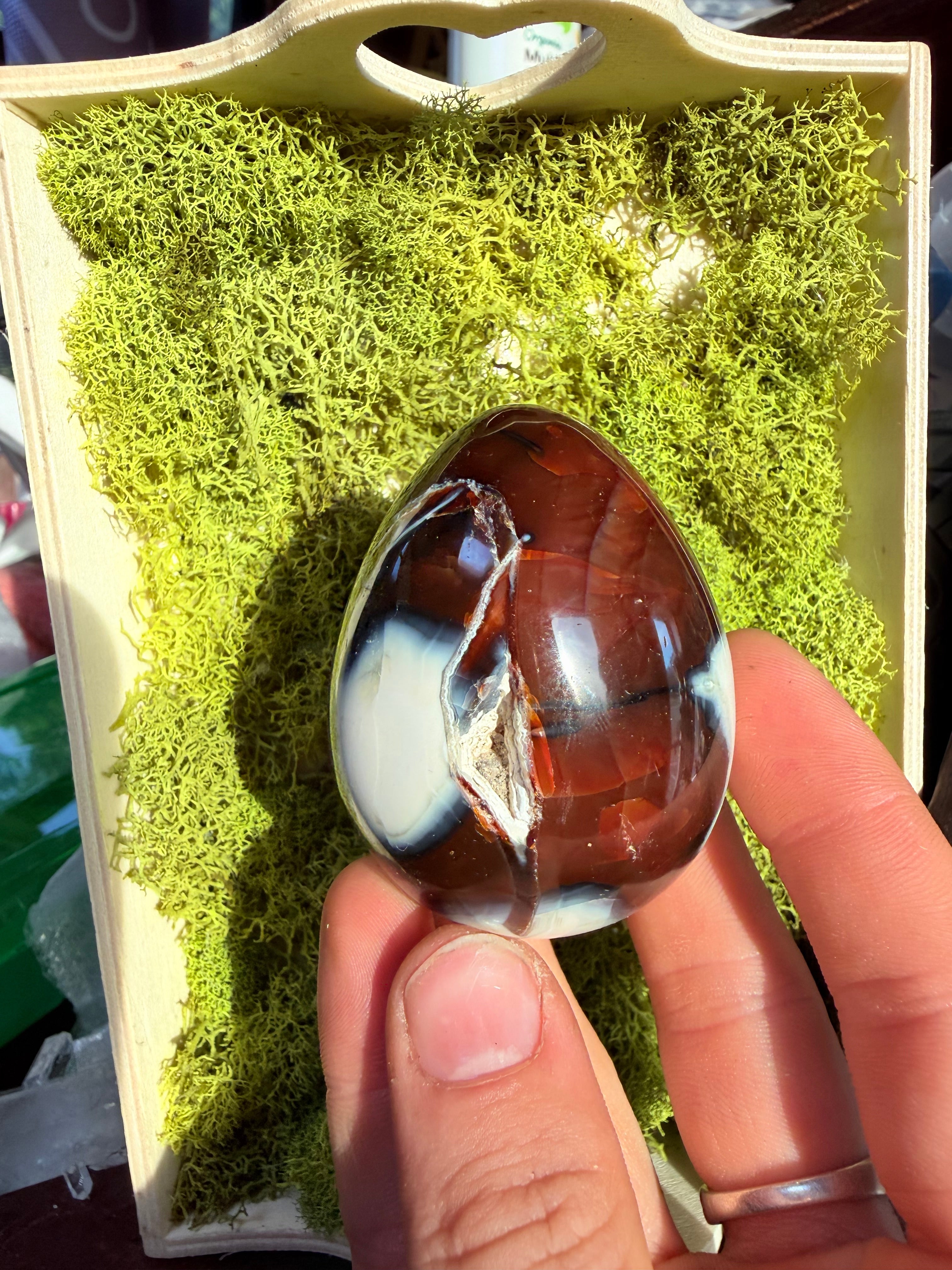 Carnelian and Orca Agate Egg from Madagascar