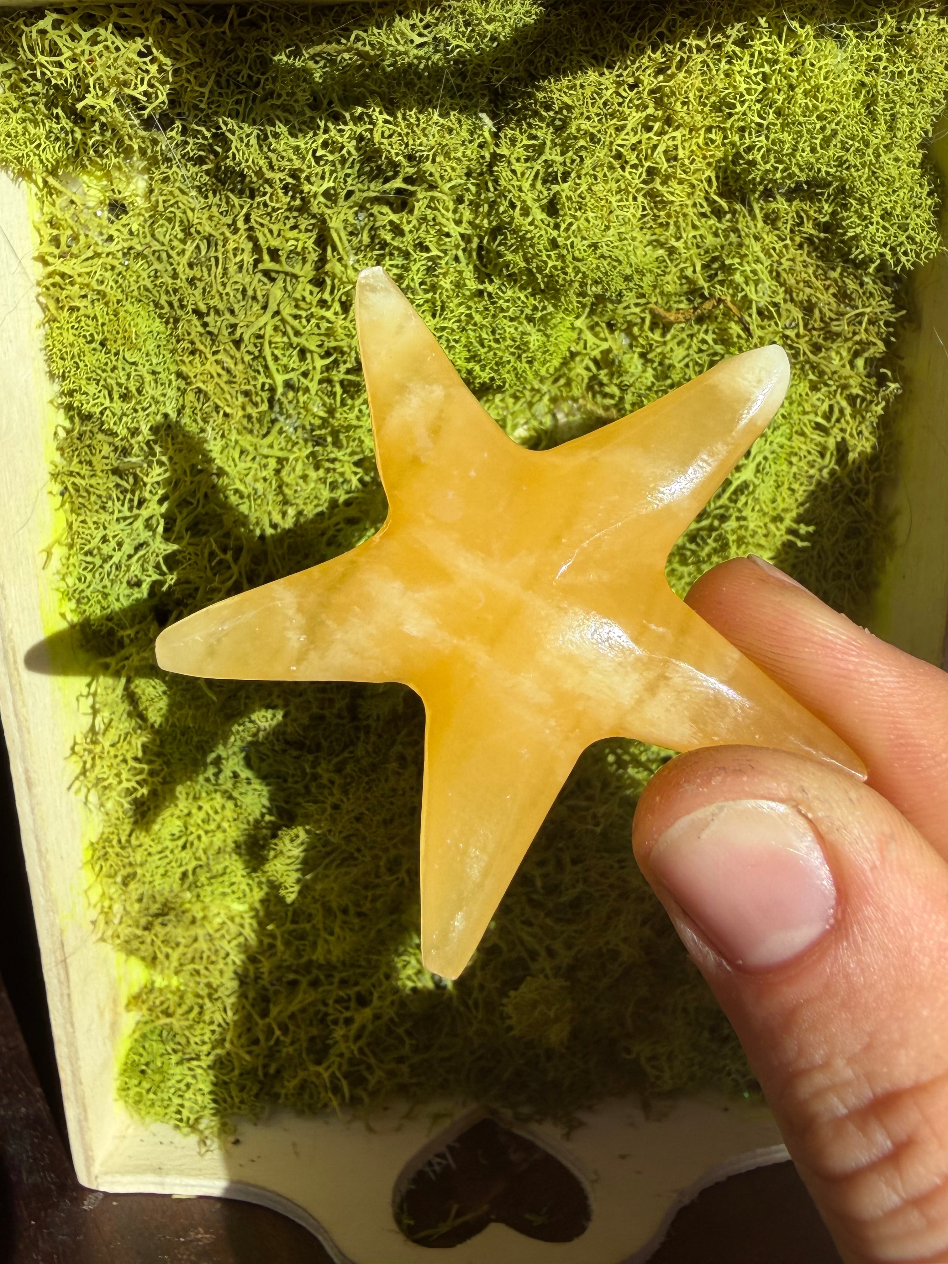 Orange Calcite Starfish Carving