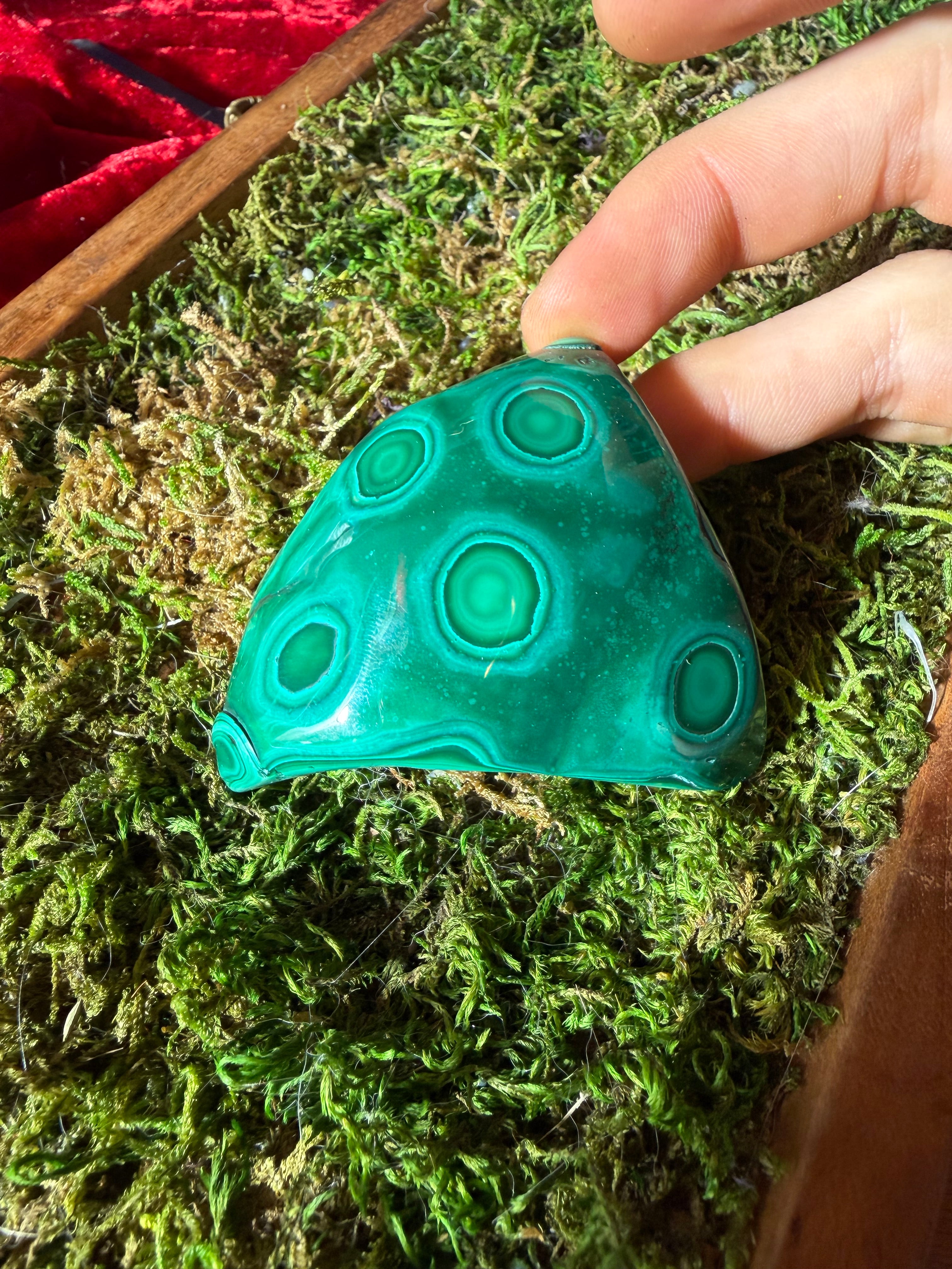 Polished Malachite from DRC