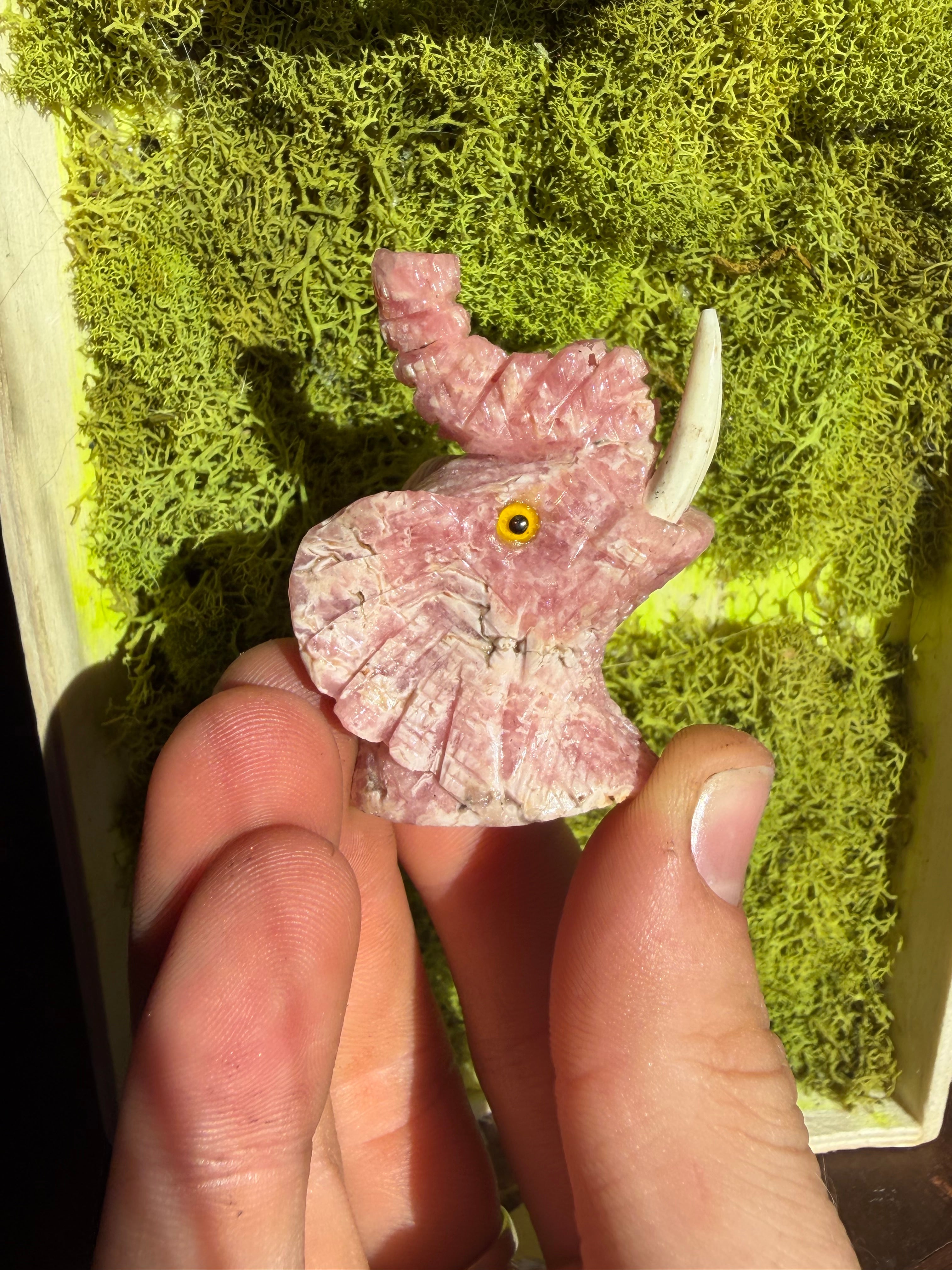 Rhodochrosite Elephant Carving from Argentina