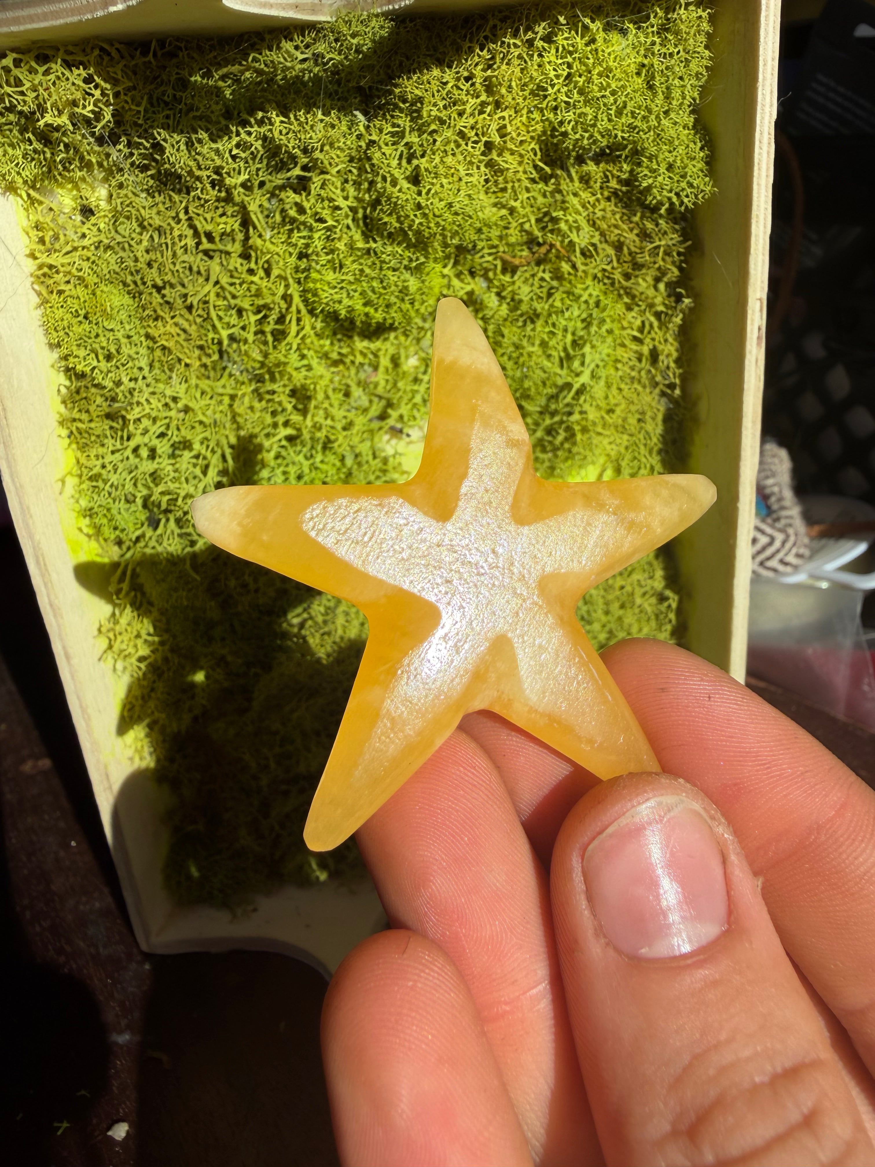 Orange Calcite Starfish Carving