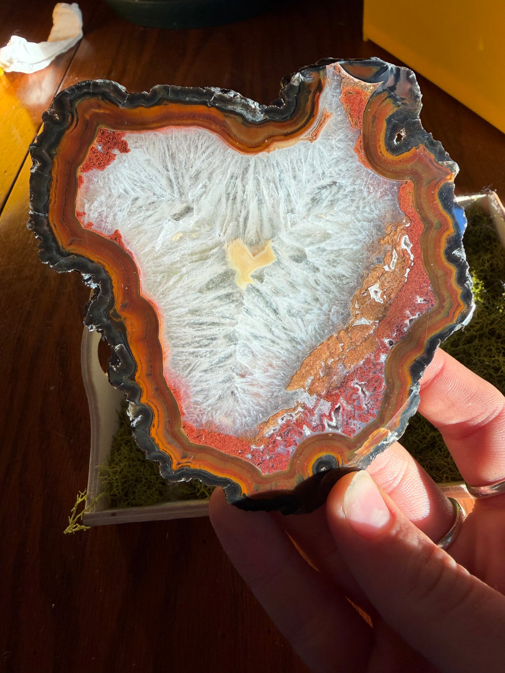 Brazilian Agate Slice