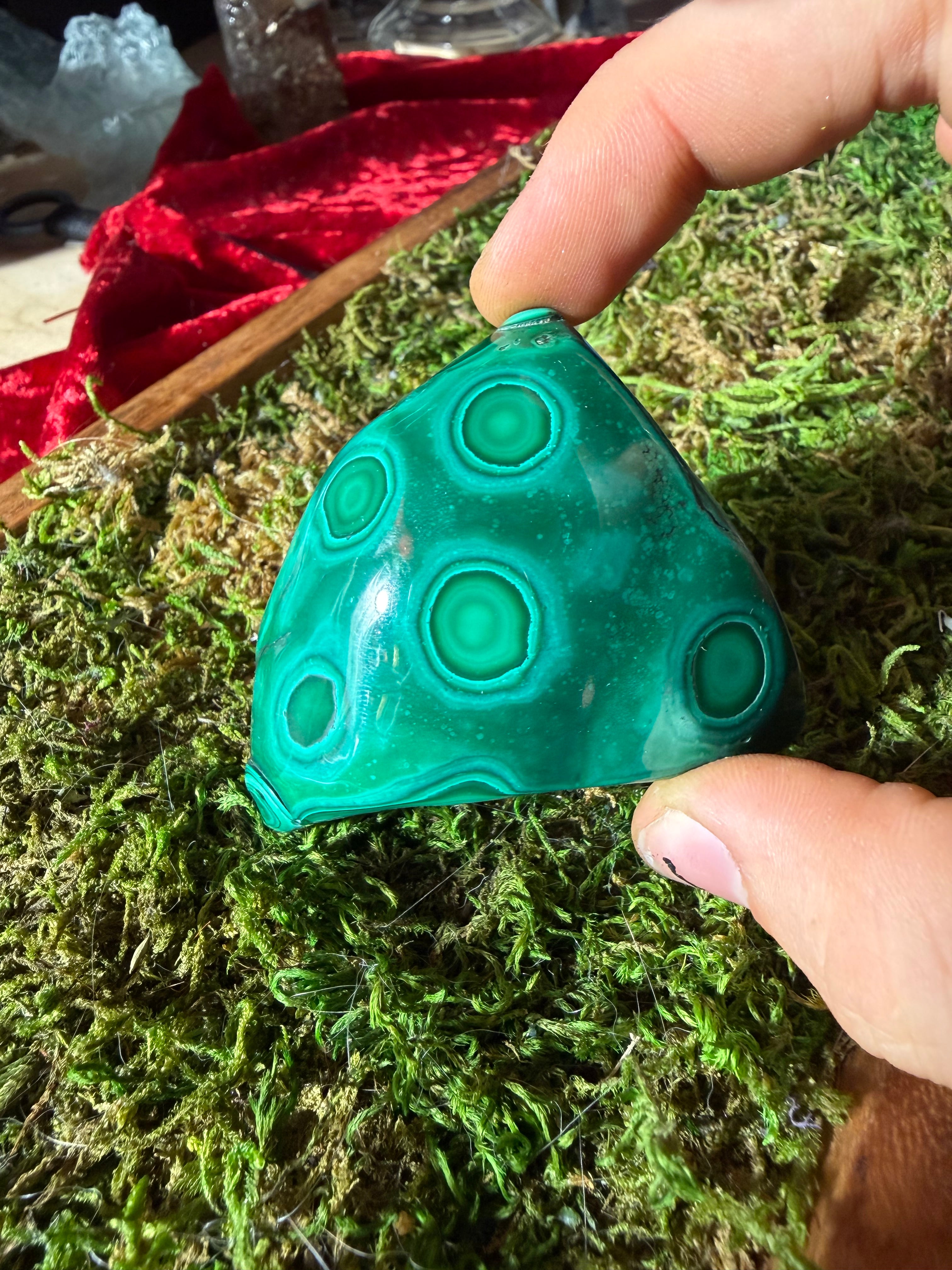 Polished Malachite from DRC