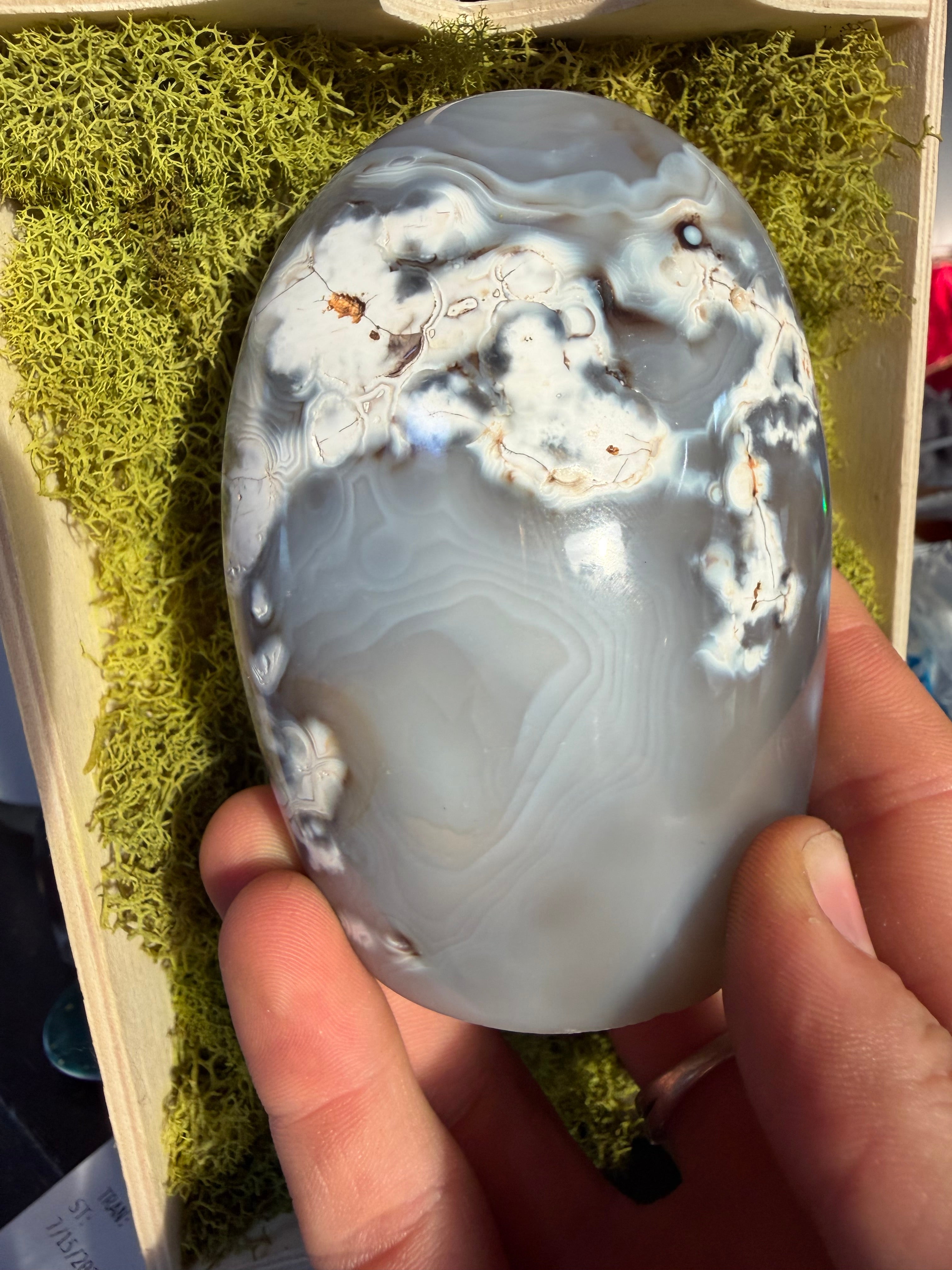 Orca Agate Freeform from Madagascar