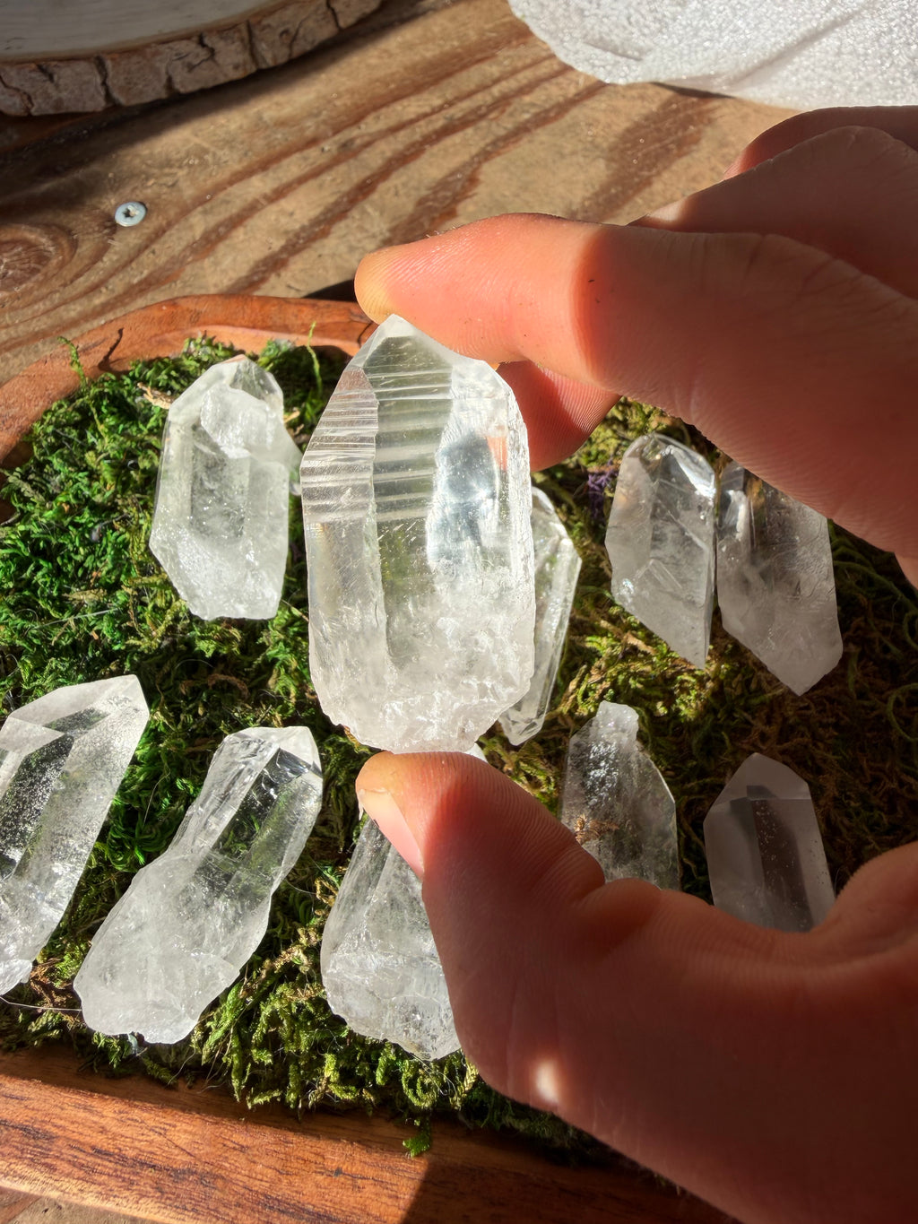 High Quality Brazilian Lemurian Quartz Points- Set Of 10 *Intuitively Picked*