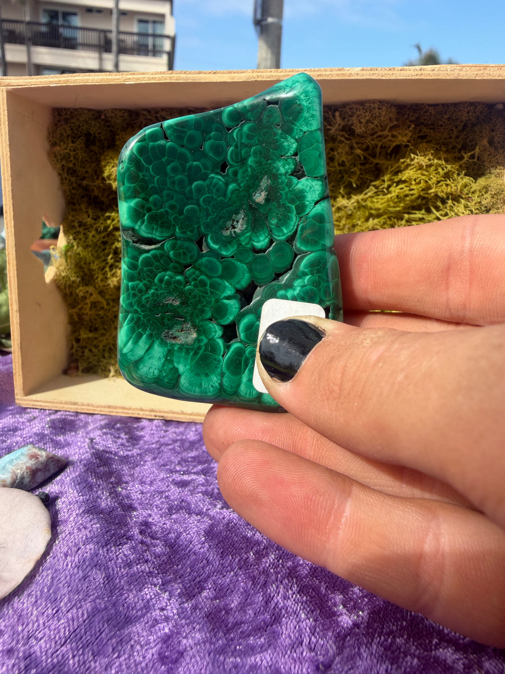 Polished Malachite from the DRC