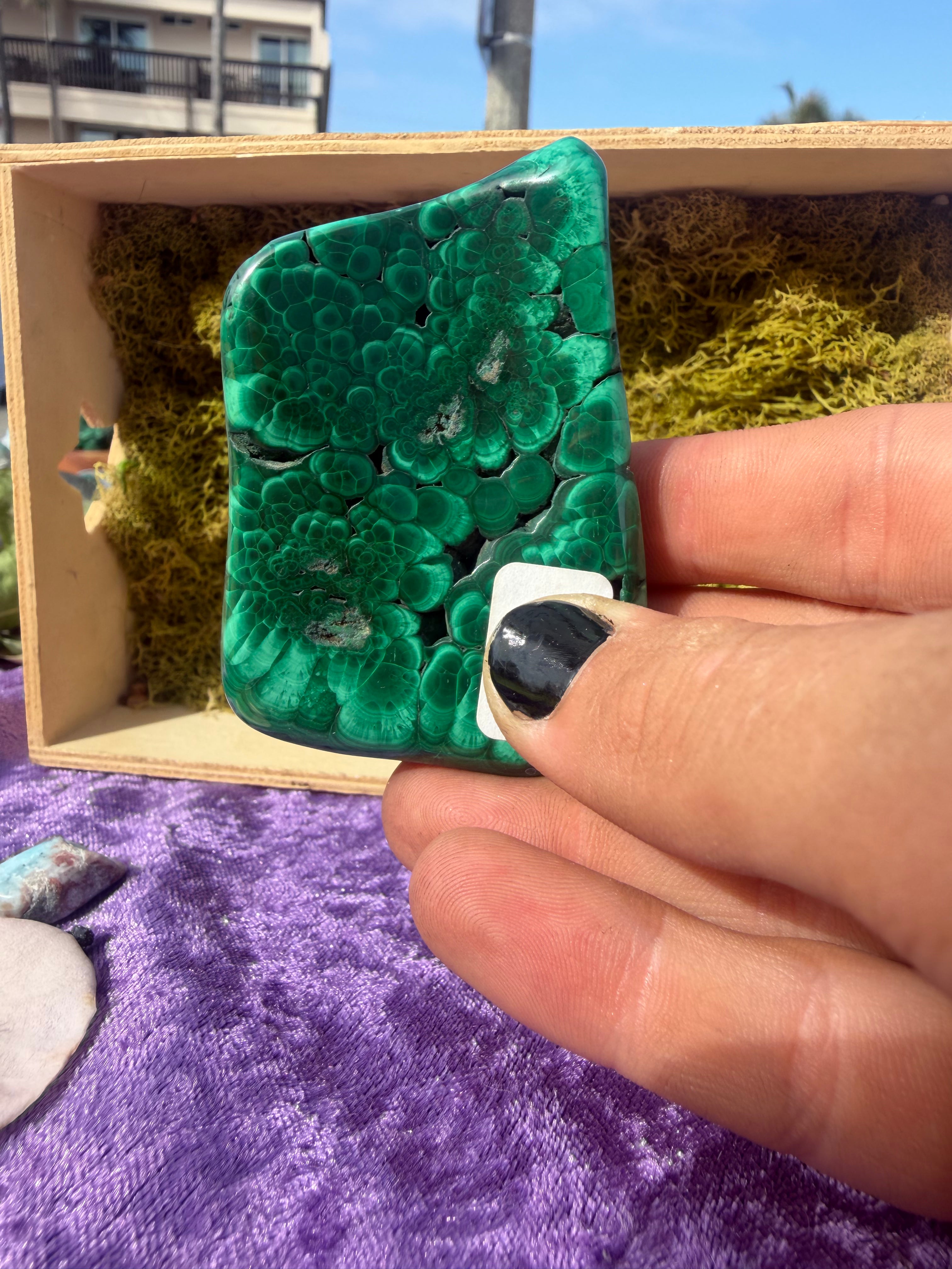 Polished Malachite from the DRC