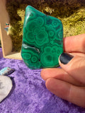 Polished Malachite from the DRC