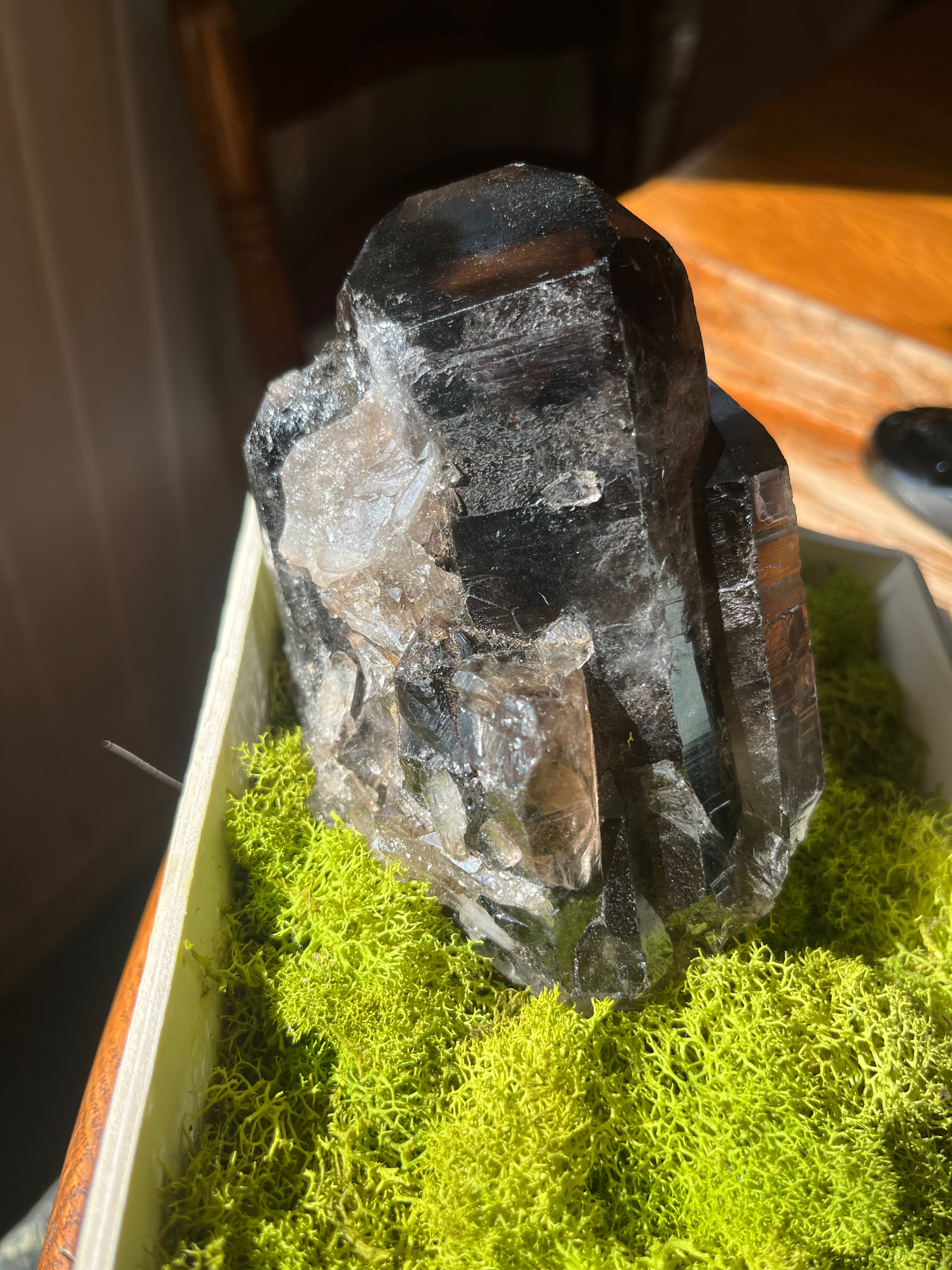 Chonky Raw Smokey Quartz Cluster