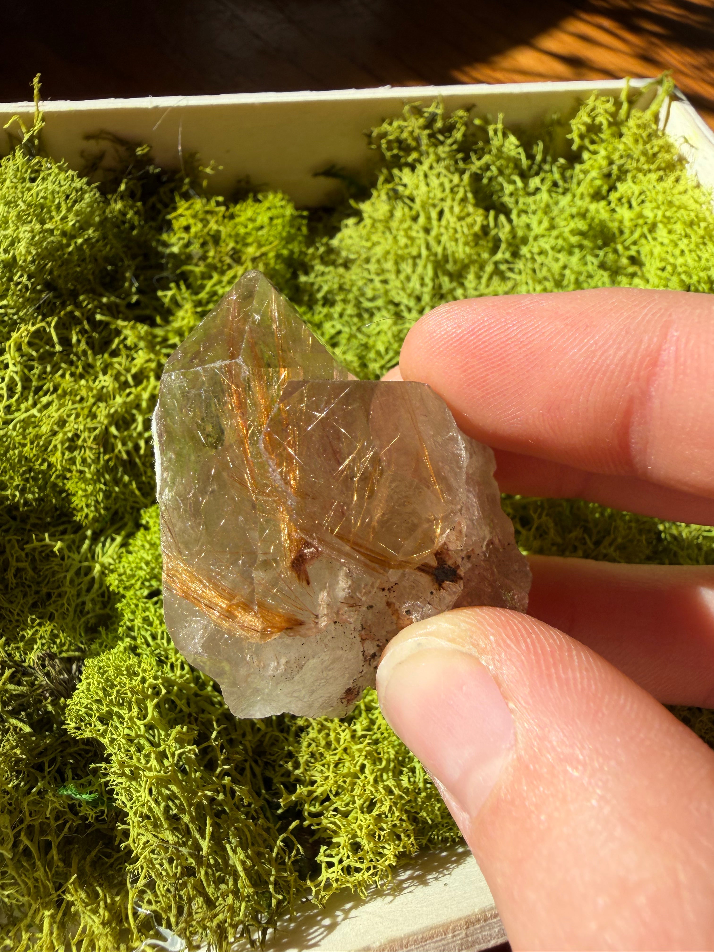 Raw Golden Rutile Quartz