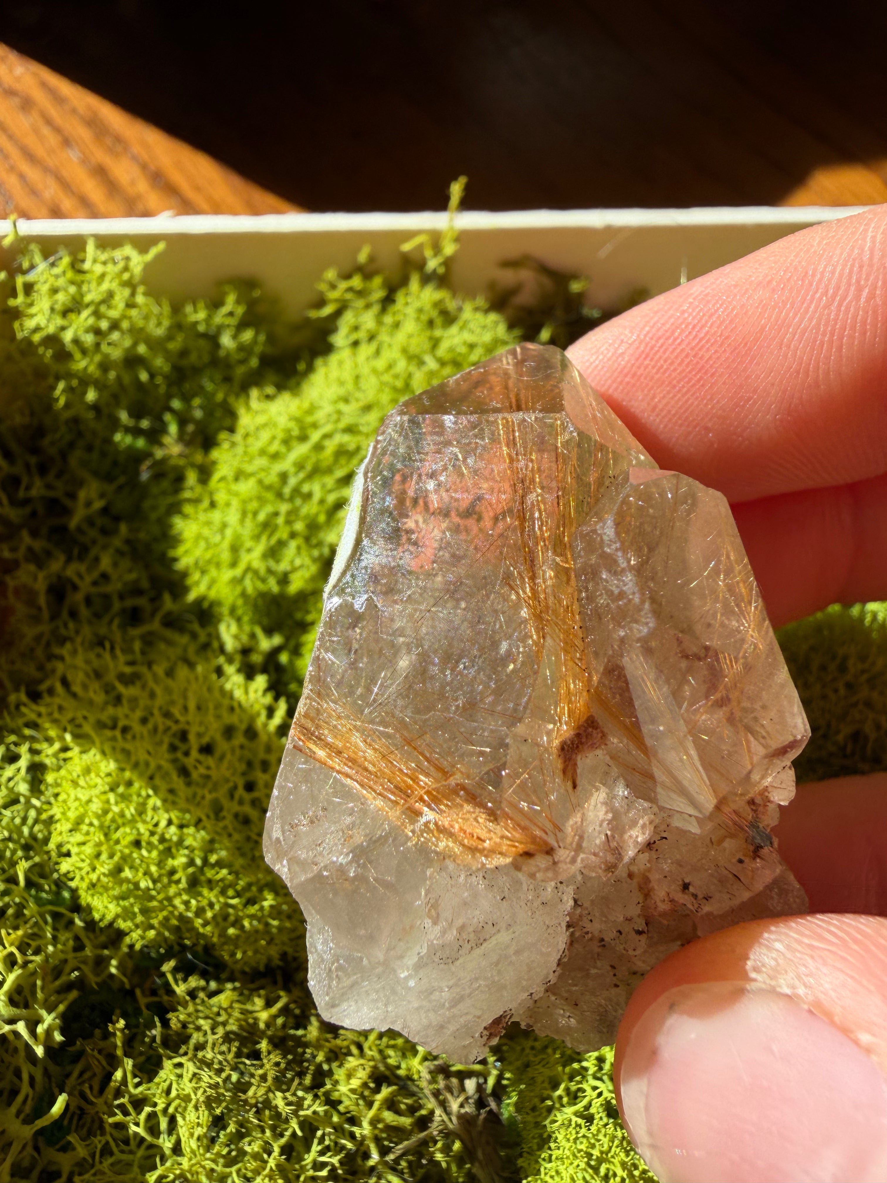 Raw Golden Rutile Quartz