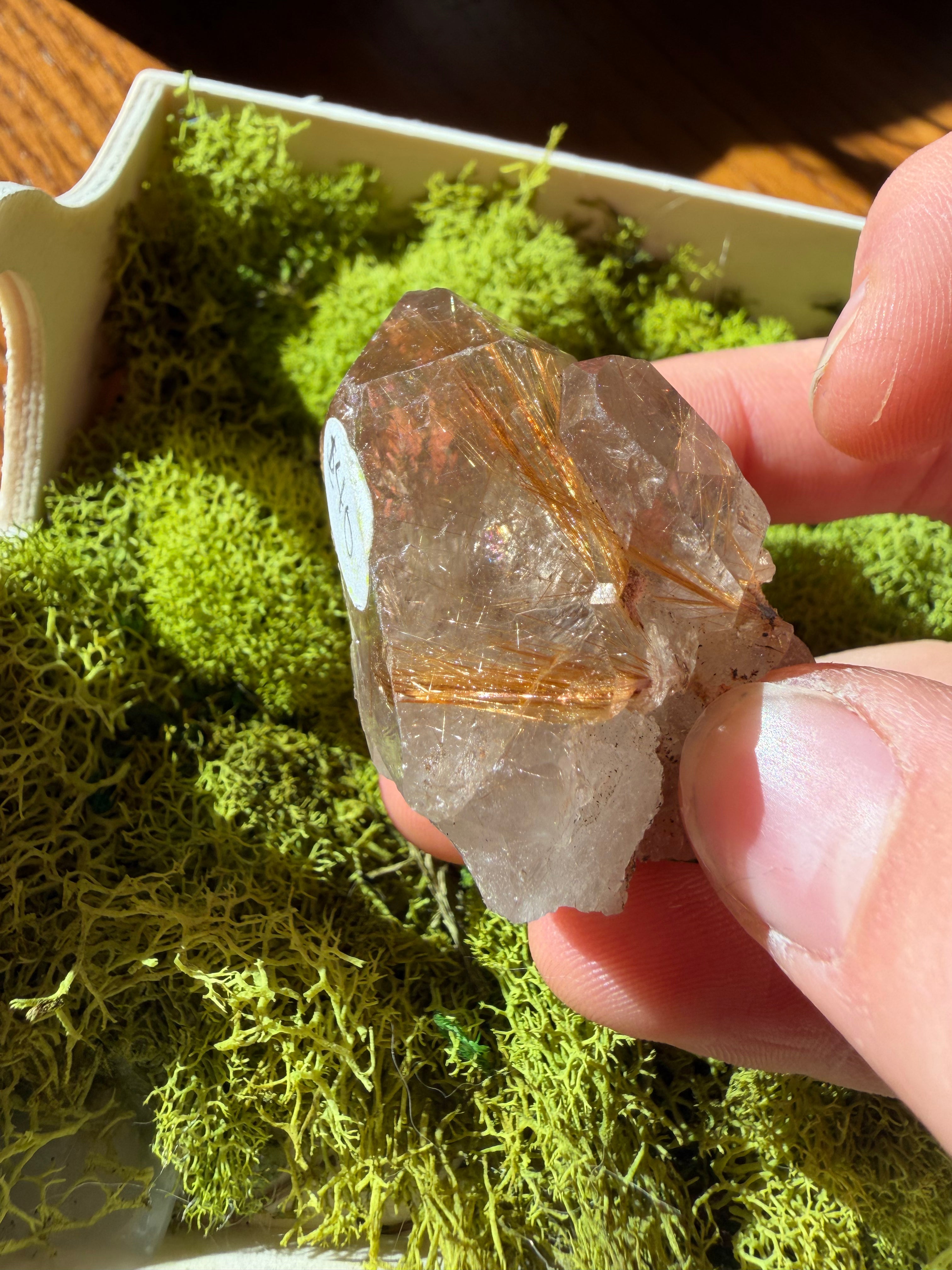 Raw Golden Rutile Quartz
