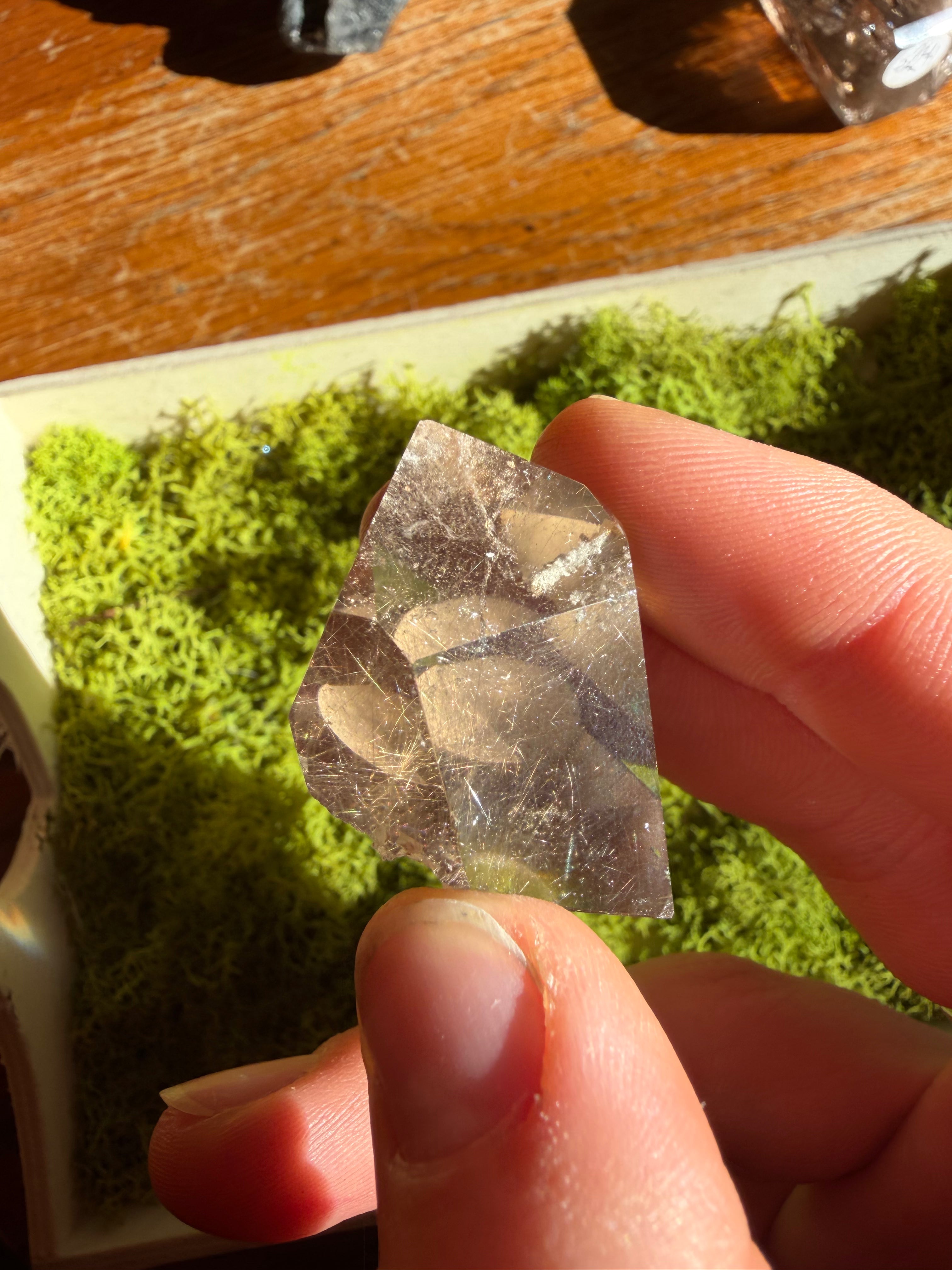 Golden Rutile Smokey Quartz