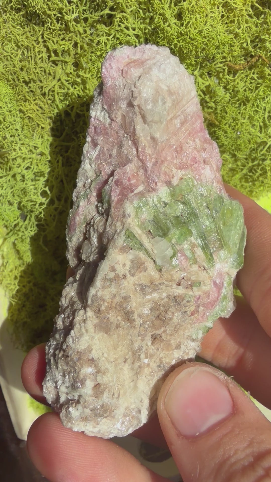 Watermelon Tourmaline from Brazil