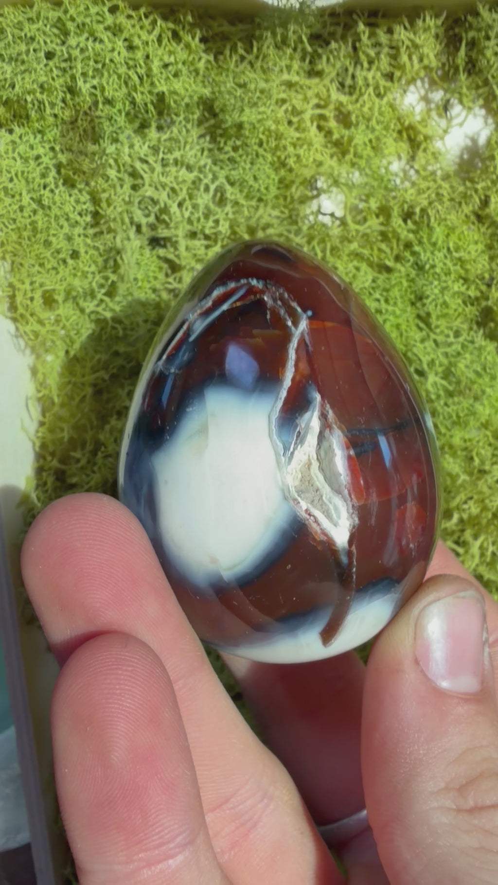 Carnelian and Orca Agate Egg from Madagascar